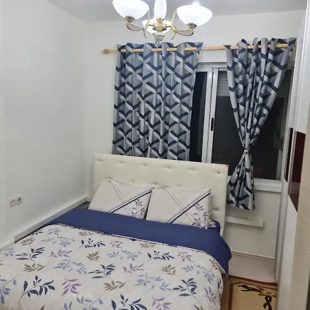Saloon * Tiran